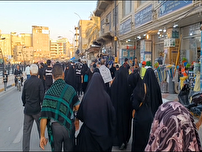 رنگ و بوی مقاومت و حمایت از مردم مظلوم غزه در پیاده روی اربعین