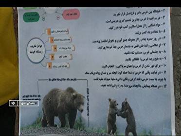 نحوه مواجه کوهنوردان با خرس قهوه ای در سبلان