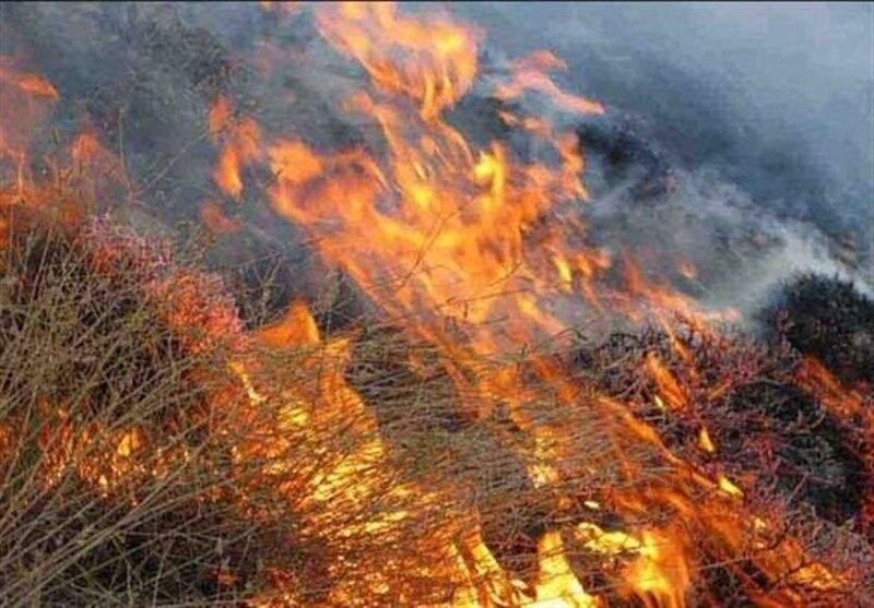 ۴۸۰ هکتار از مراتع سلماس دچار آتش‌سوزی شد