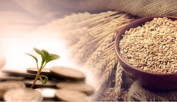 افرایش 15درصدی پرداخت زکات در آذربایجان غربی