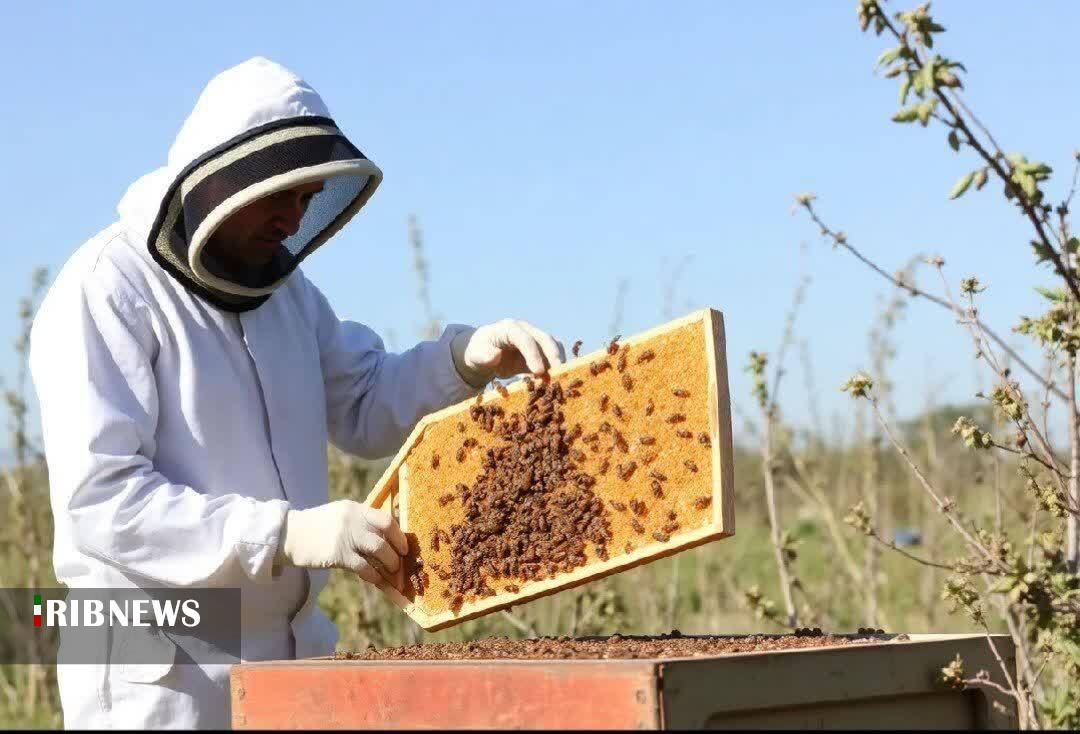 پیام آذری