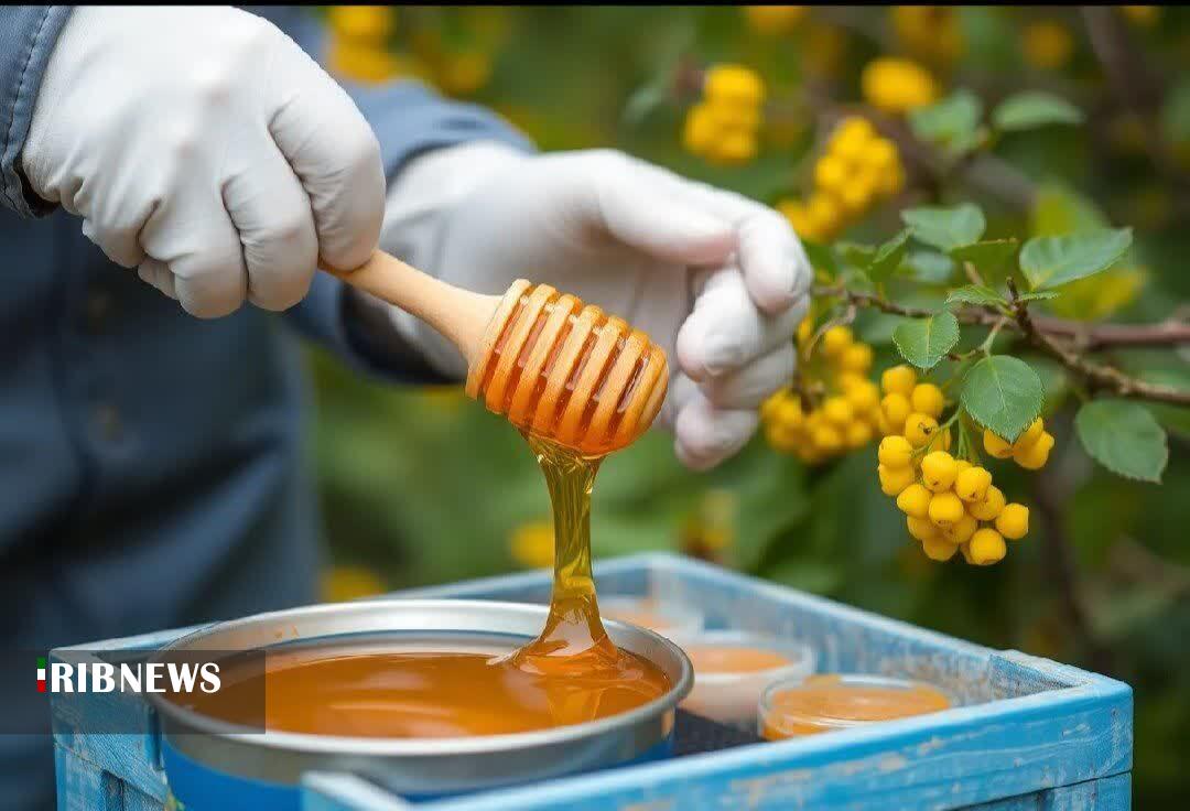 پیام آذری