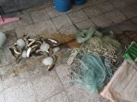 دستگیری ۳ صیاد متخلف در شاهین‌دژ
