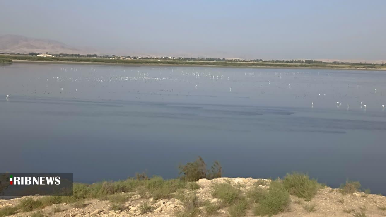 پیام آذری