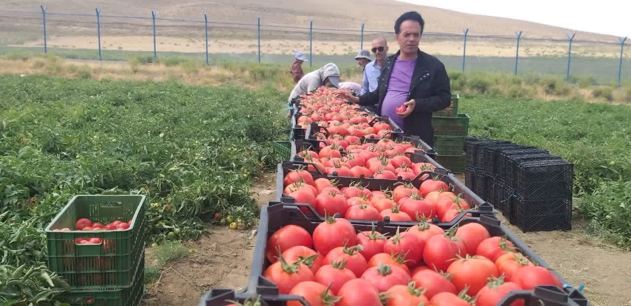 پیام آذری