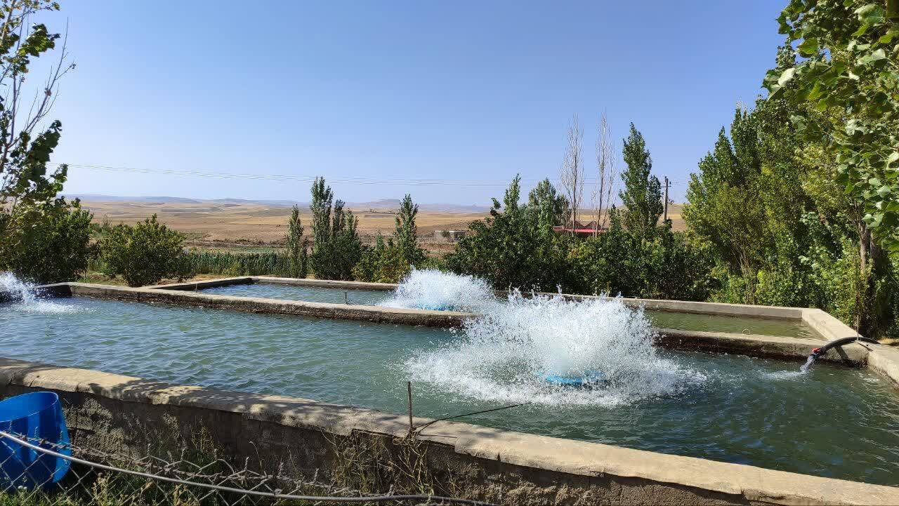پیام آذری
