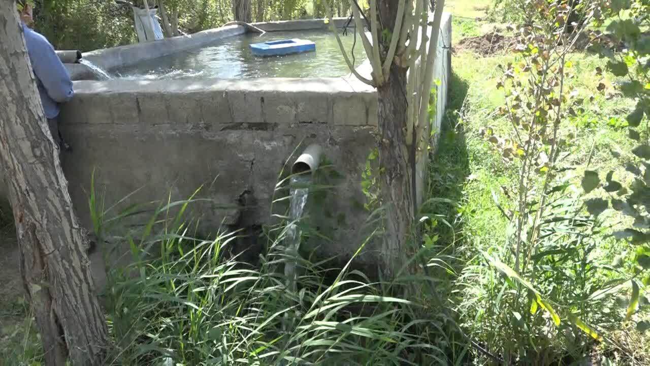پیام آذری