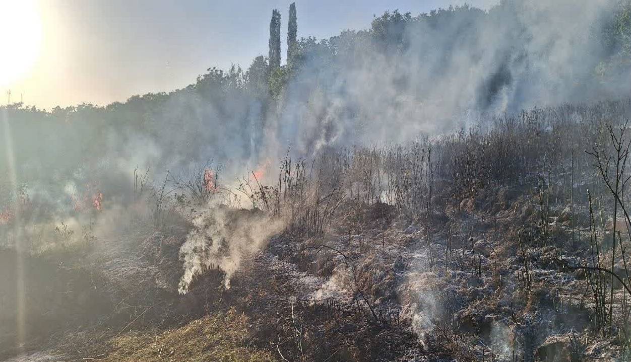 مهار آتش‌سوزی در باغات گل محمدی گنبرف