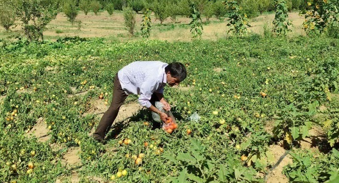 پیام آذری