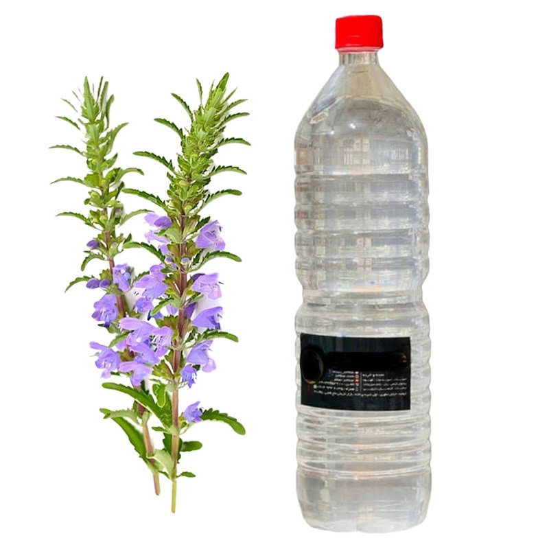 پیام آذری