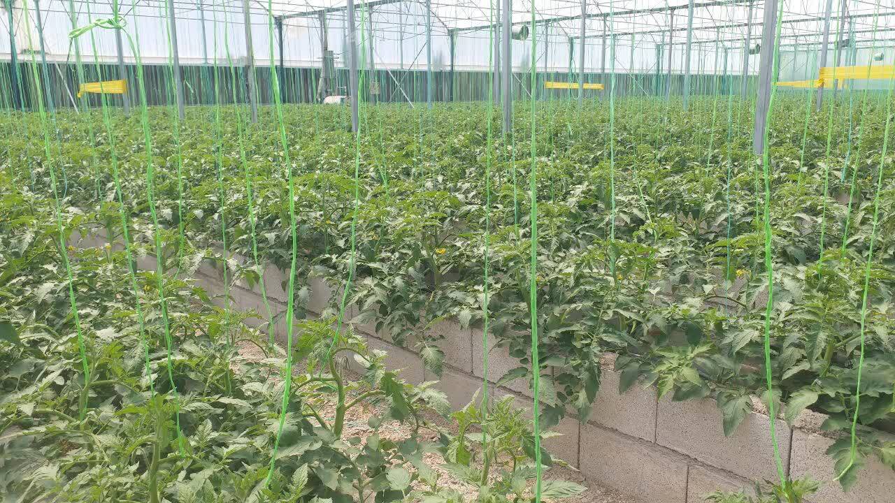 پیام آذری