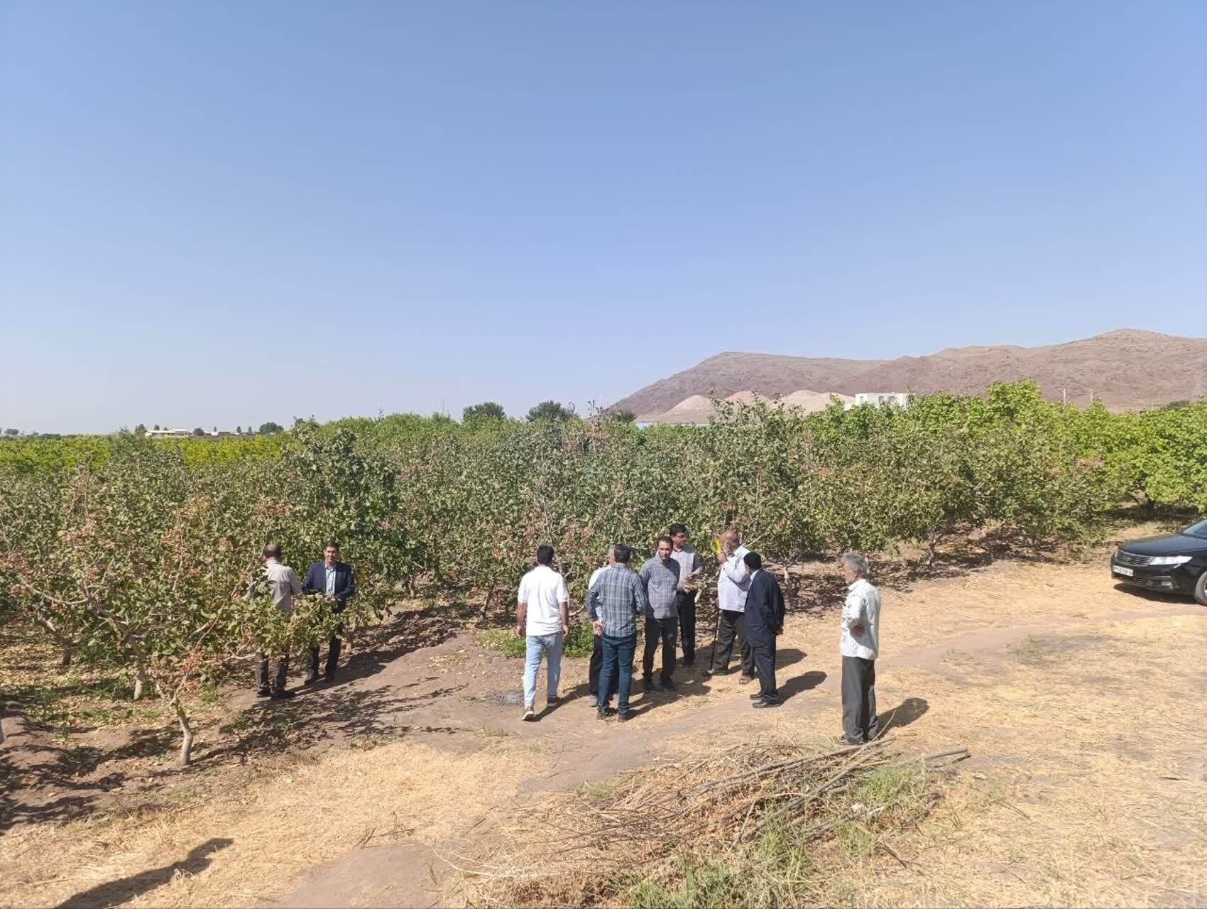 پیام آذری