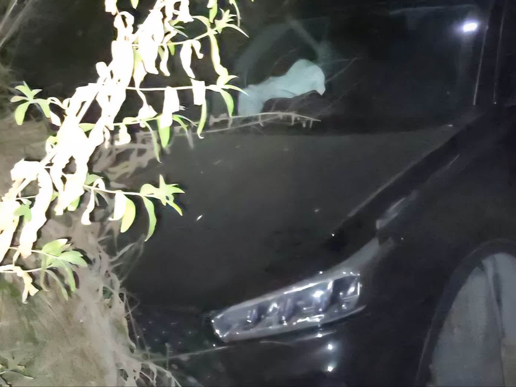 پیام آذری