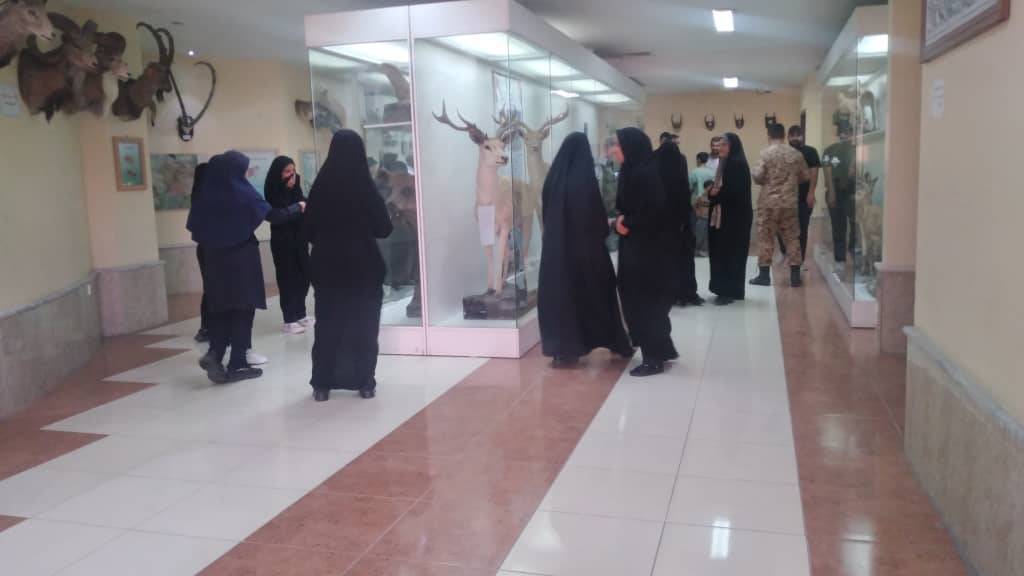 پیام آذری