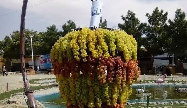 آغاز هشتمین جشنواره انگور در ارومیه