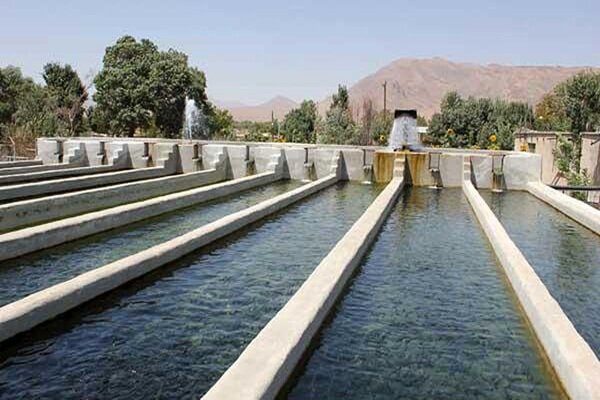 قطعی برق تولید ماهیان سردآبی در اردبیل را تحت فشار قرار داده است