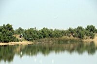 باران به تالاب‌های ماکو جانی دوباره بخشید