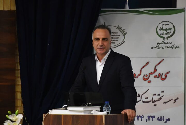 برداشت ۸ میلیون تن محصول از ۶ میلیون هکتار اراضی دیم کشور در سال گذشته