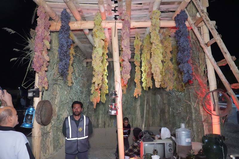 استقبال صداوسیمای آذربایجان غربی از «طلای بنفش ارومیه»