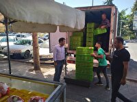 نظارت مستمر  توزیع مرغ منجمد در ارومیه برای تضمین سلامت و تنظیم بازار