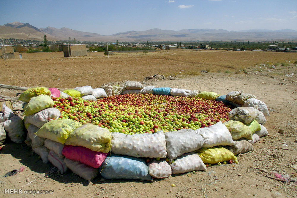 پیام آذری