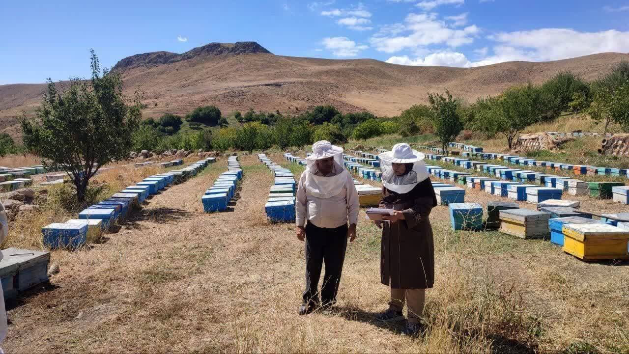 پیام آذری