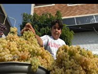 سومین جشنواره ملی انگور در مشگین‌شهر برگزار شد