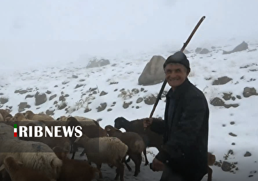 ادامه بارش باران و برف در استان اردبیل