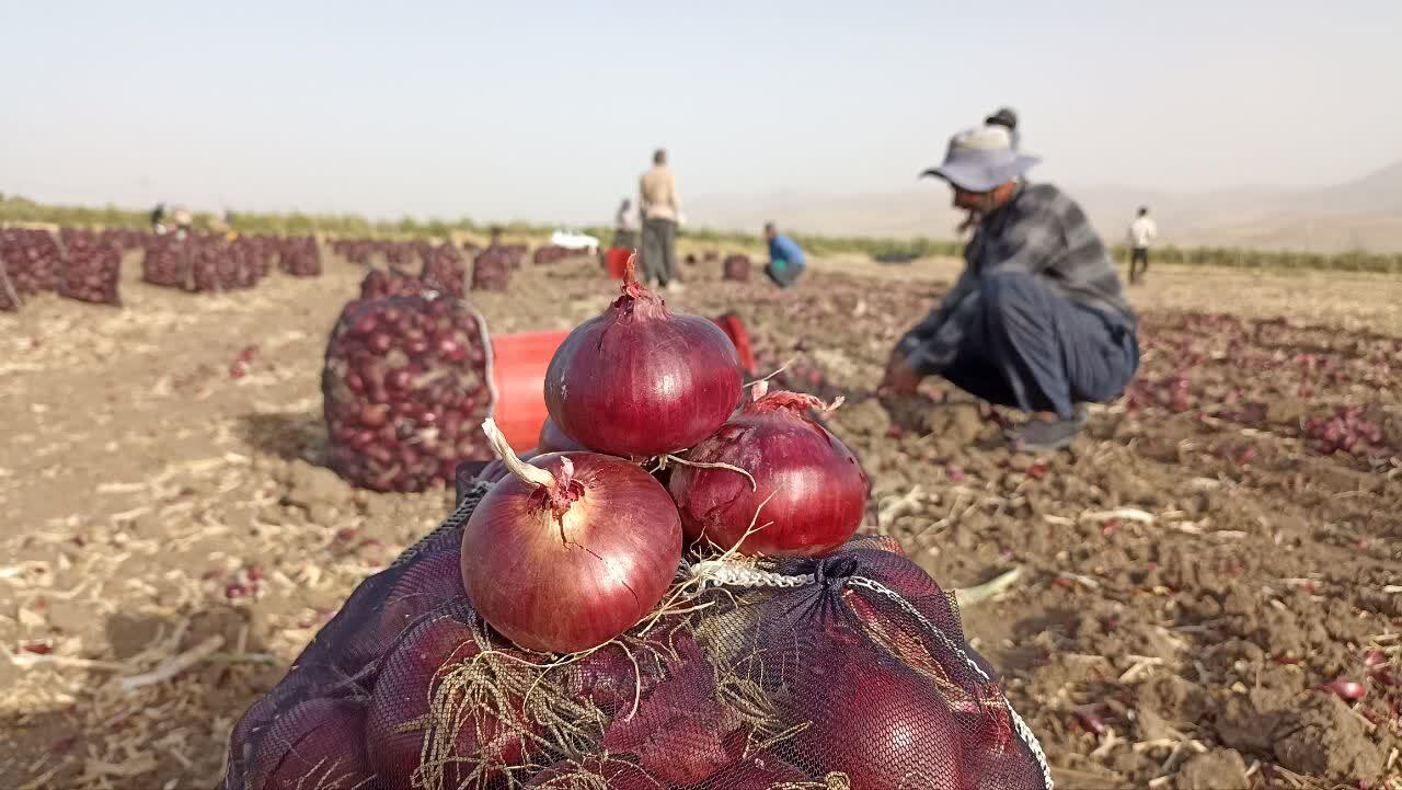 پیام آذری