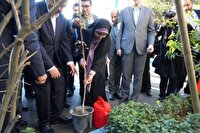 وزیر راه و شهرسازی در تبریز با غرس نهالی به  پویش ملی «مهر سبز» پیوست