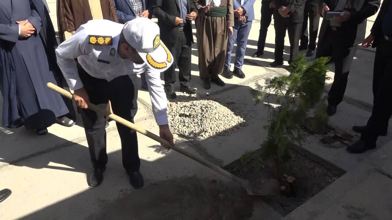 پیام آذری