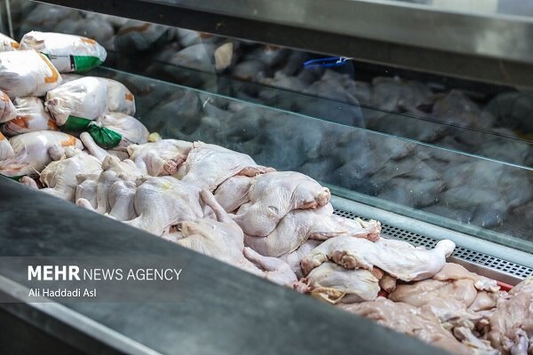 علیزاده: هشترود قطب تولید گوشت مرغ در آذربایجان شرقی است