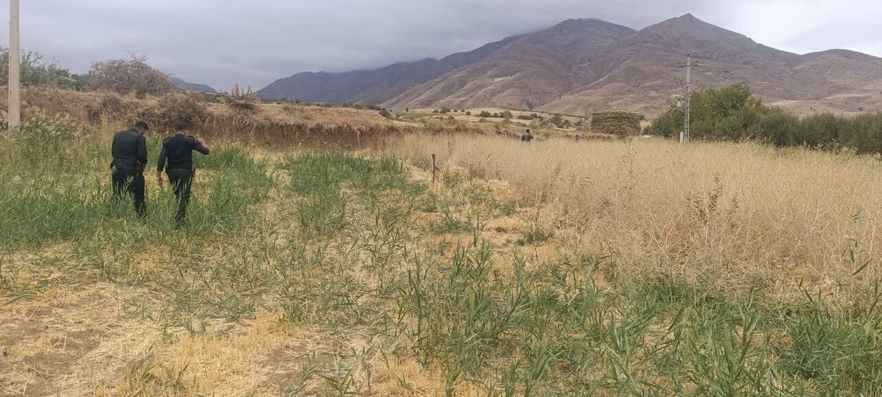 پیام آذری