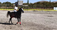 نمایش اسب‌های اصیل نژاد ایرانی در شهرستان مراغه