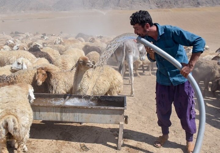 پیرجاهد: آبرسانی و بهسازی راه‌های عشایری اردبیل پیشرفت چشمگیر دارد