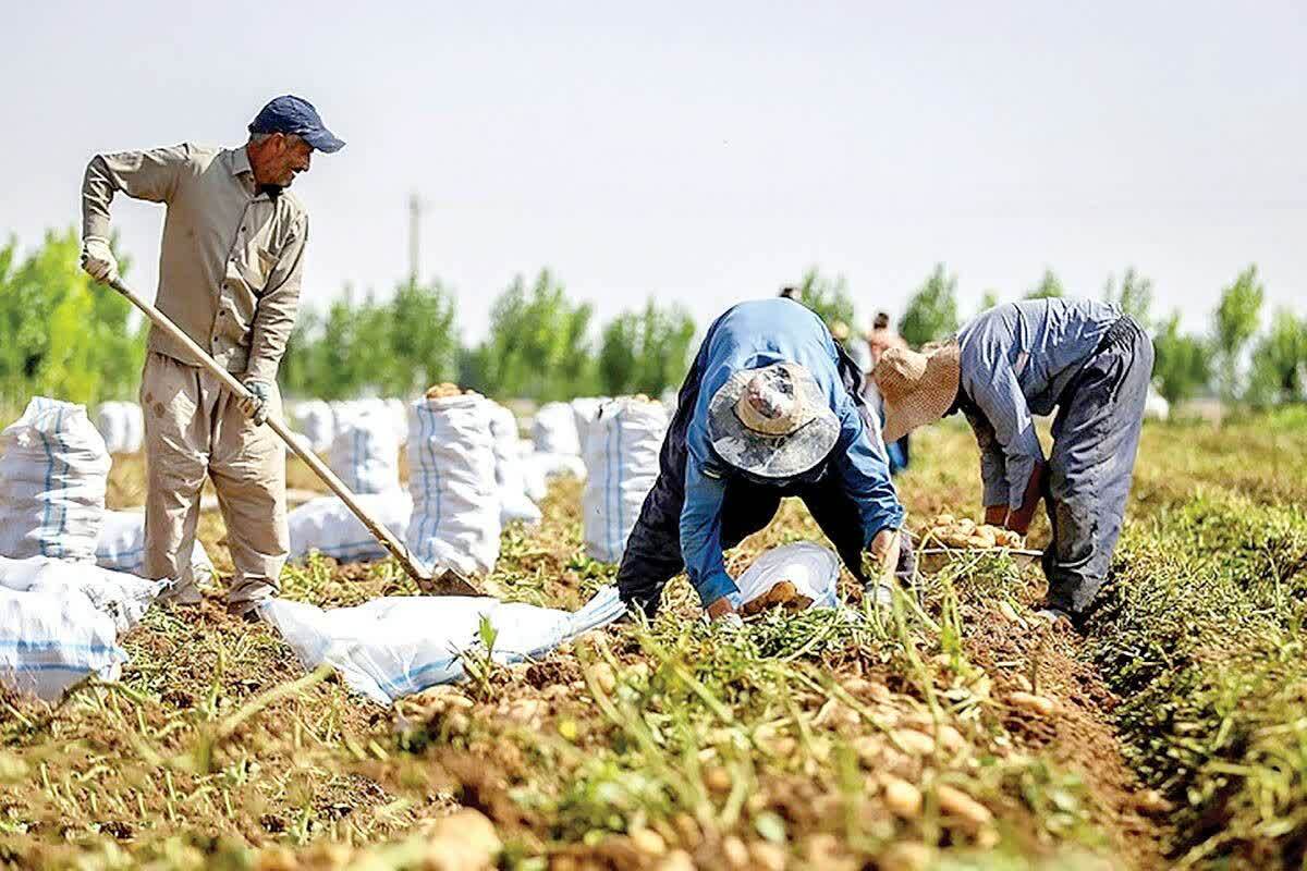 پیام آذری