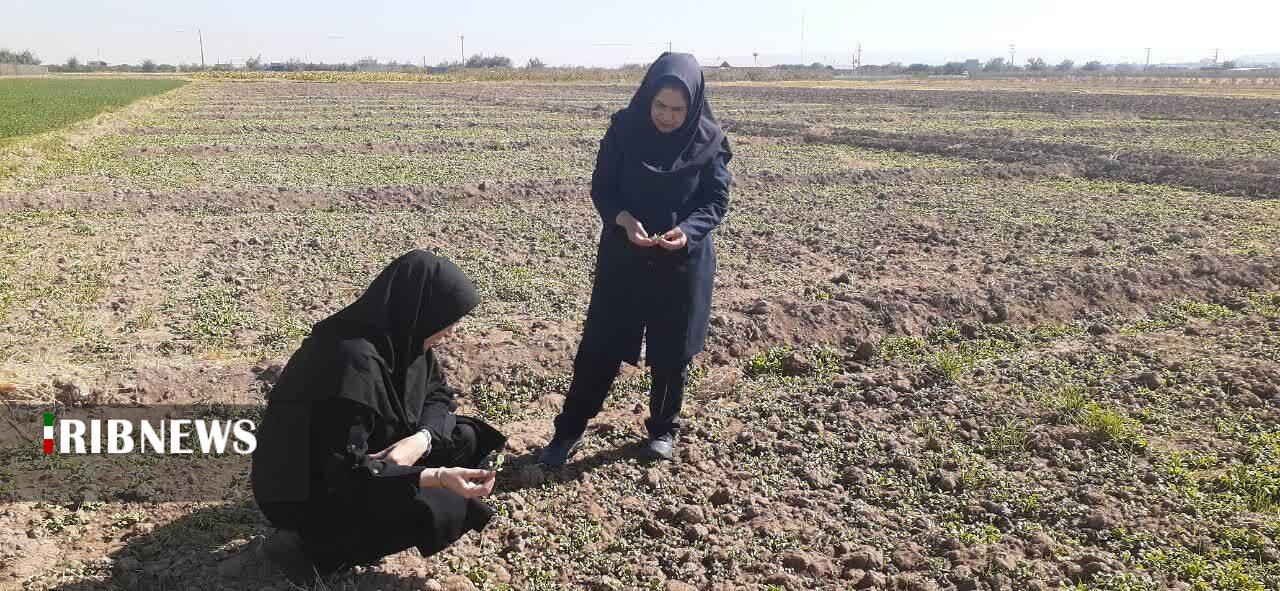 پیام آذری