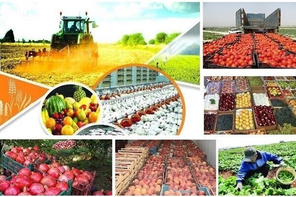 مبادله۴۴۵ هزار تن محصول کشاورزی از مراکز قرنطینه نباتی آذربایجان‌غربی