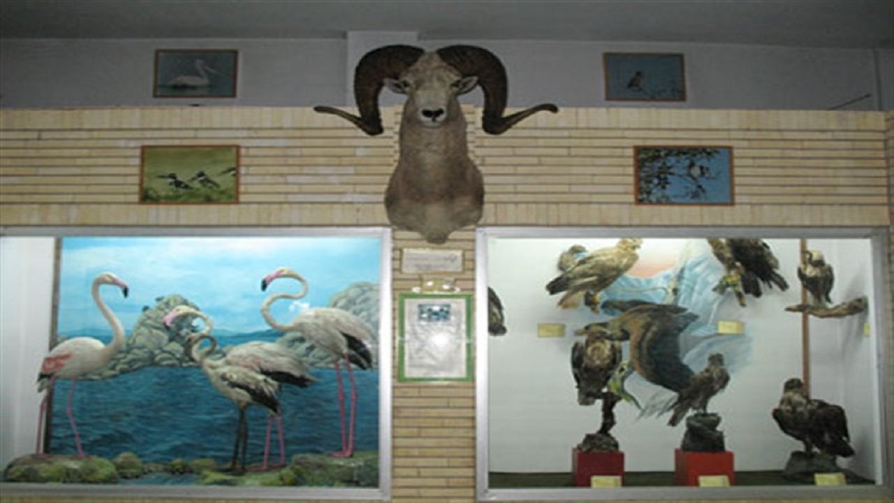 پیام آذری