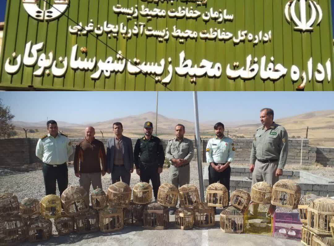 پیام آذری
