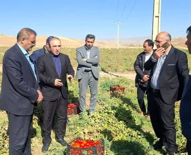 خلیلی: ۶۱ طرح اشتغال‌زایی و سرمایه‌گذاری در شهرستان کوثر تصویب شد