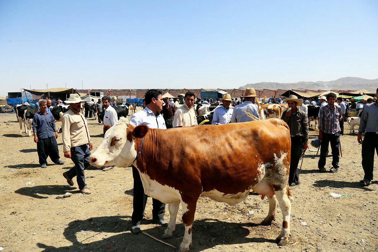 پیام آذری