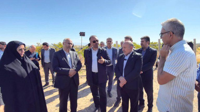 پیام آذری