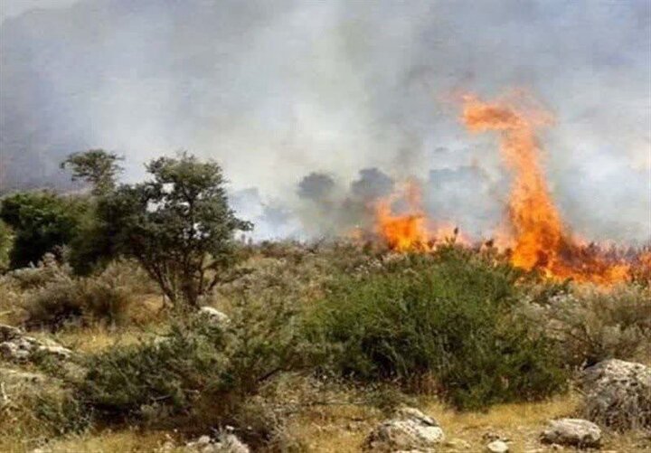 آتش سوزی در سواحل پارک‌ملی دریاچه ارومیه مهار شد