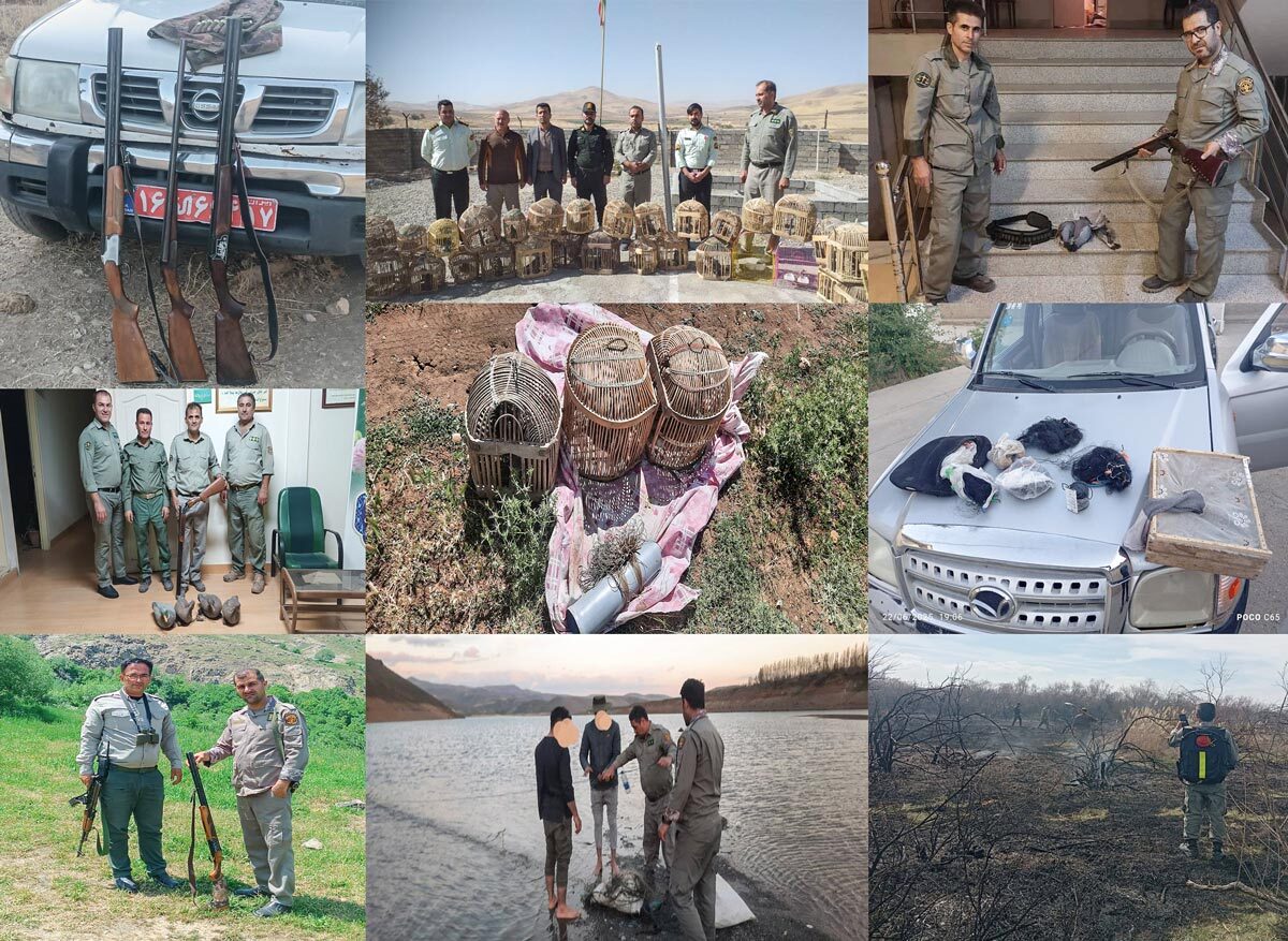 پیام آذری