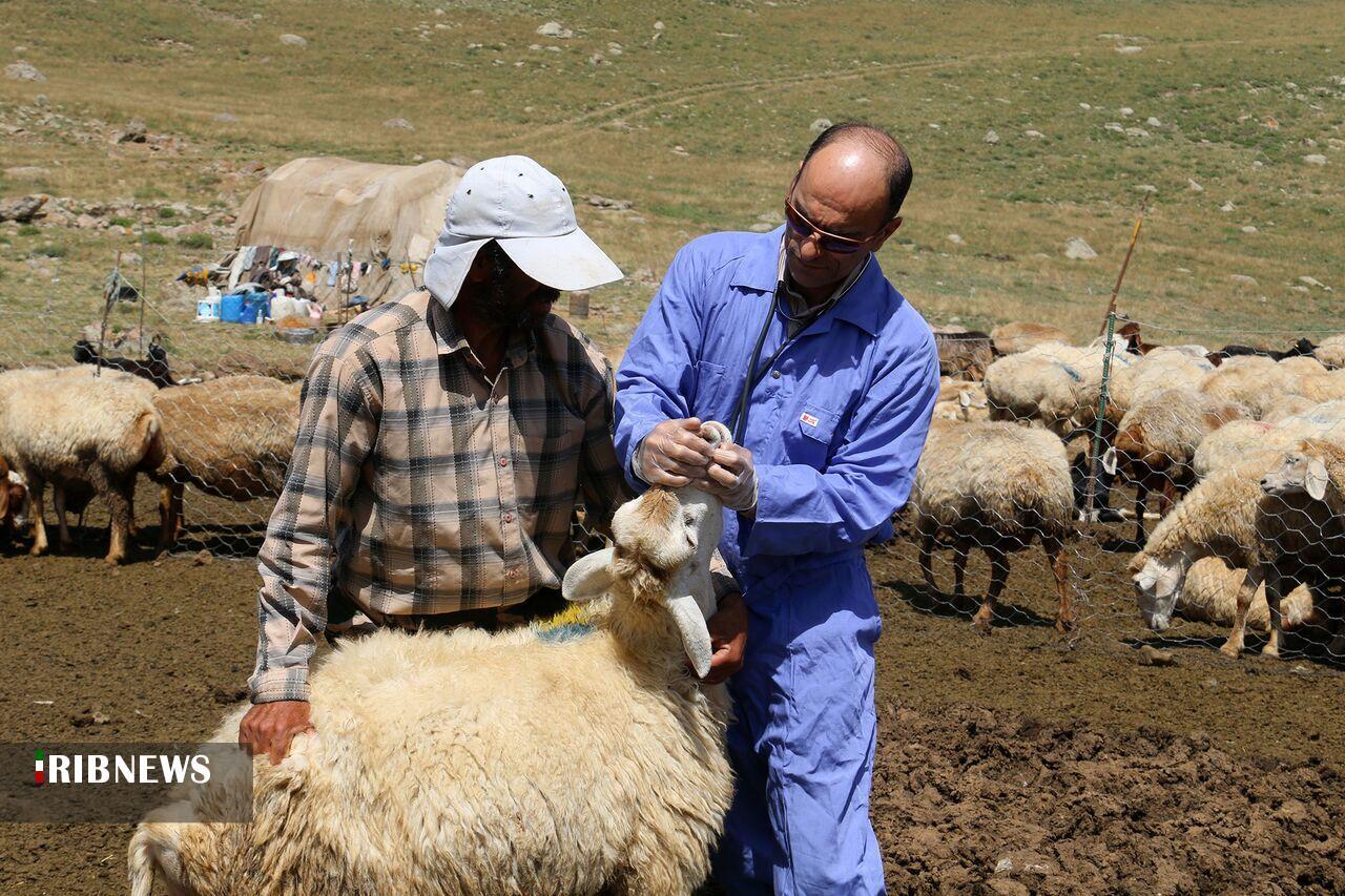 پیام آذری