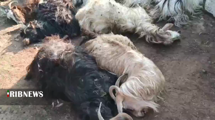 پیام آذری