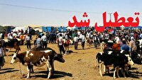 بازار دواب بوکان ۲ هفته دیگر تعطیل شد