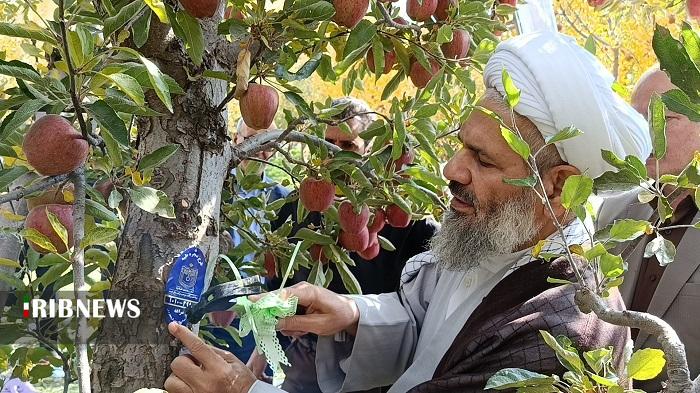 پیام آذری