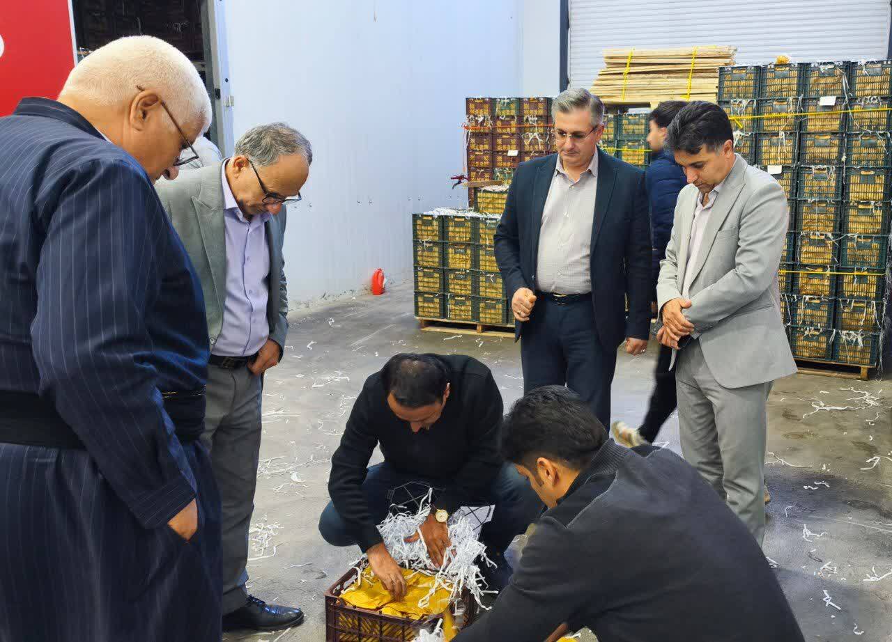 پیام آذری